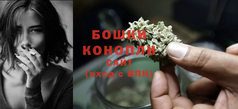 Шишки марихуана SATIVA & INDICA  darknet наркотические препараты  Реутов 